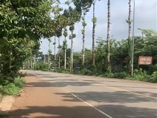 Bán đất mặt tiền cực đẹp đường mỹ xuân ngãi giao, xã kim long, tp. hcm.