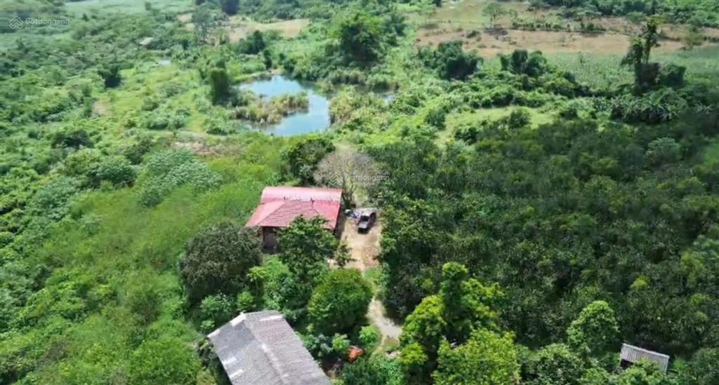 Cần chuyển nhượng 12 ha đất thổ cư đất bằng phẳng tại kim bôi hòa bình