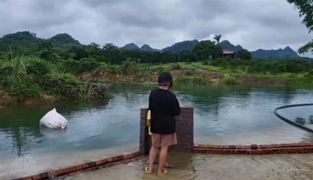 Cần chuyển nhượng 12 ha đất thổ cư đất bằng phẳng tại kim bôi hòa bình