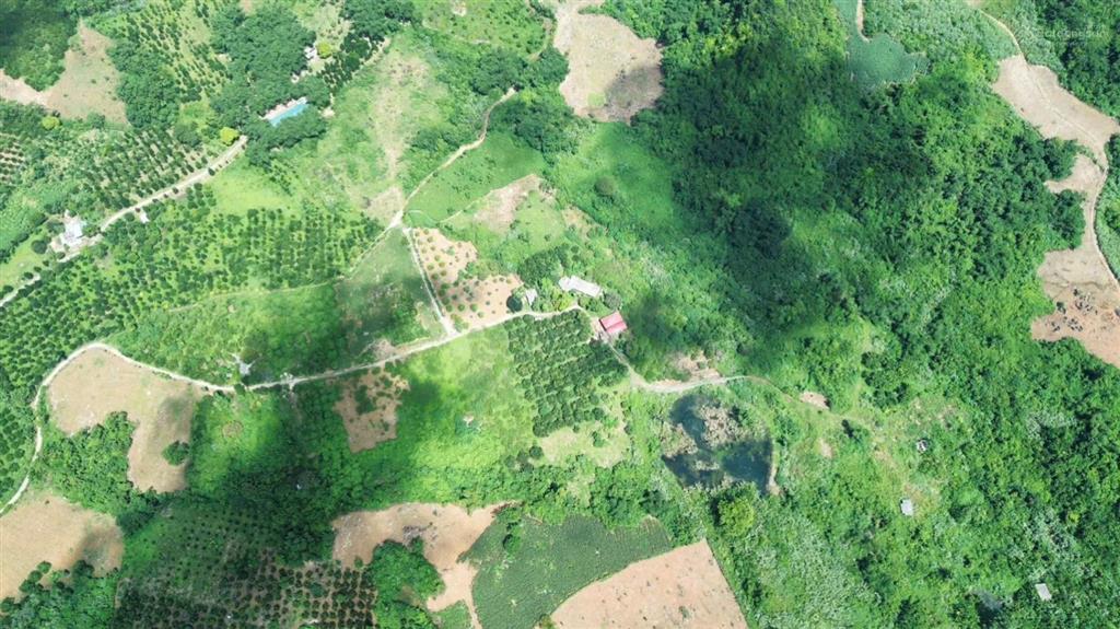 Cần chuyển nhượng 12 ha đất thổ cư đất bằng phẳng tại kim bôi hòa bình