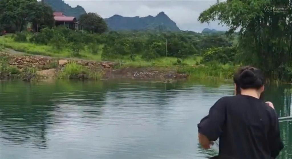 Cần chuyển nhượng 12 ha đất thổ cư đất bằng phẳng tại kim bôi hòa bình