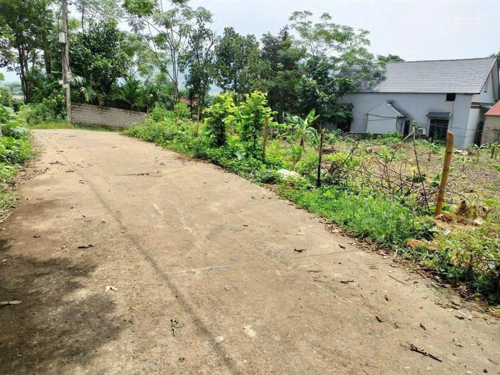 Cần chuyển nhượng 1168 m2 đất thổ cư tại đông xuân quóc oai hà nội