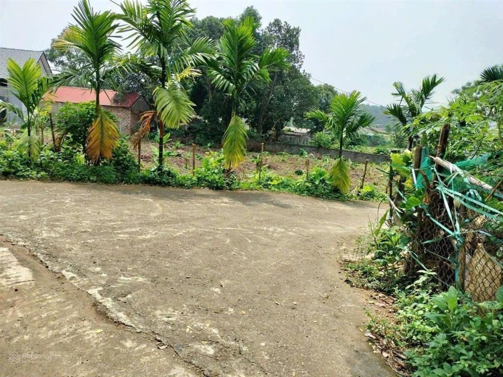 Cần chuyển nhượng 1168 m2 đất thổ cư tại đông xuân quóc oai hà nội