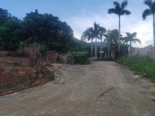 Chuyển nhượng 60 000 m2 đất làm sinh thái tại yên bài ba vì hà nội