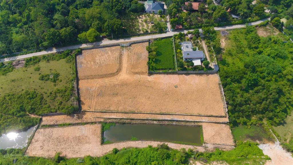 Cần thanh khoản lô đất làm nghỉ dưỡng rộng 8600 m2 tại cư yên lương sơn hòa bình