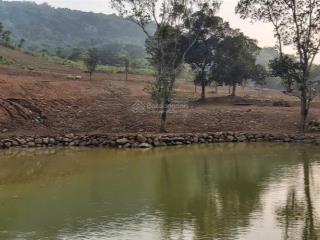 Cần chuyển nhượng 4,4 ha đất làm nghỉ dưỡng tại lương sơn, hòa bình