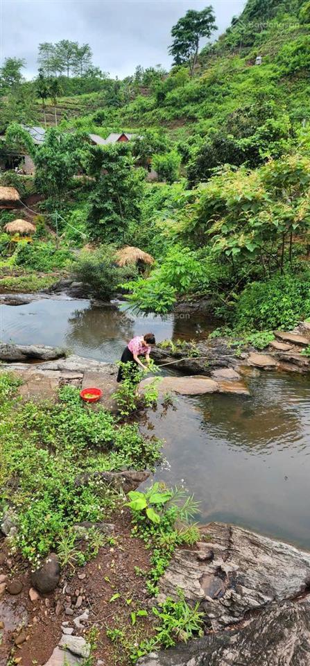 Cần chuyển nhượng 3 ha khu nghỉ dưỡng sinh thái tại mãn đức, tân lạc, hòa bình