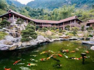 Cần chuyển nhượng nhà hàng 2867m2 tại mai châu, hòa bình