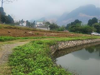 Cần chuyển nhượng 4631m2 đất thổ cư tại lương sơn hòa binh