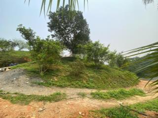 Cần chuyển nhượng 7200 m2 đất làm sinh thái tại tiến xuân thạch thất hà nội