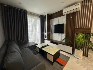 Cho thuê căn hộ 1pn, 9,5 triệu, 56m2 tại cskyview, bình dương giá ưu đãi hàng hiếm tại