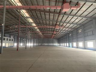 Cho thuê kho xưởng gần ccn an khánh 20004000m2 mới dựng pccc tự động nghiệm thu