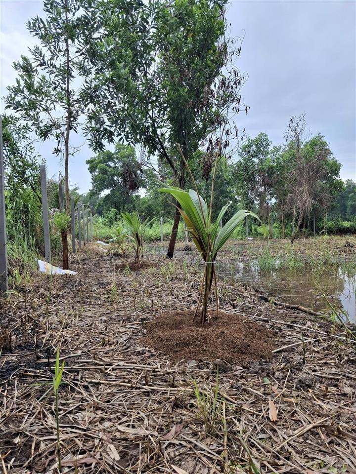 Chính chủ bán đất lê minh xuân, bình chánh kế đường vành đai 3, võ văn kiệt nối dài