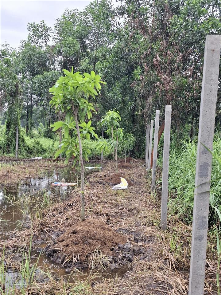 Chính chủ bán đất lê minh xuân, bình chánh kế đường vành đai 3, võ văn kiệt nối dài