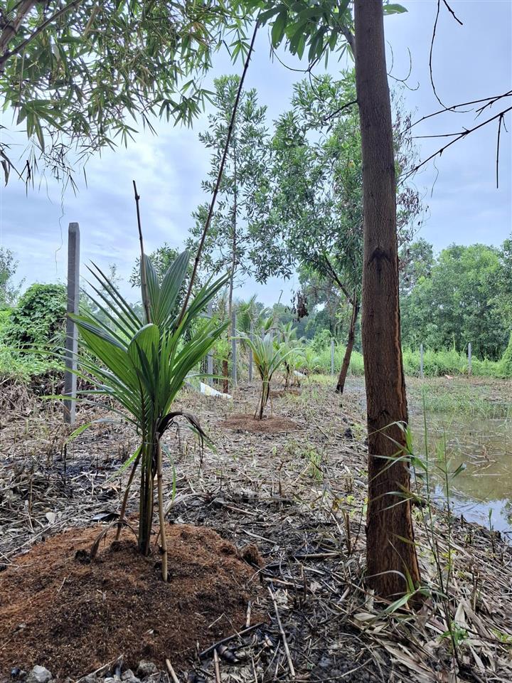 Chính chủ bán đất lê minh xuân, bình chánh kế đường vành đai 3, võ văn kiệt nối dài