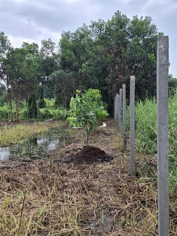 Chính chủ bán đất lê minh xuân, bình chánh kế đường vành đai 3, võ văn kiệt nối dài