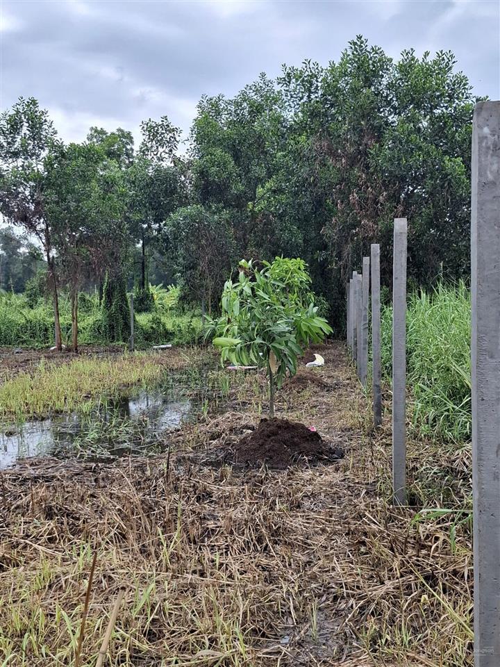 Chính chủ bán đất lê minh xuân, bình chánh kế đường vành đai 3, võ văn kiệt nối dài