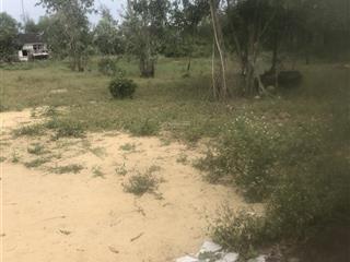 Bán đất 4900m2 tại xã bình minh, thăng bình, quảng nam, giá thỏa thuận, cơ hội đầu tư hot