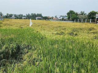 Bán 2.300m2 đất thổ, 3mt, 3,2tr/m2, đường thông, xã phước tuy, huyện cần đước, tỉnh long an