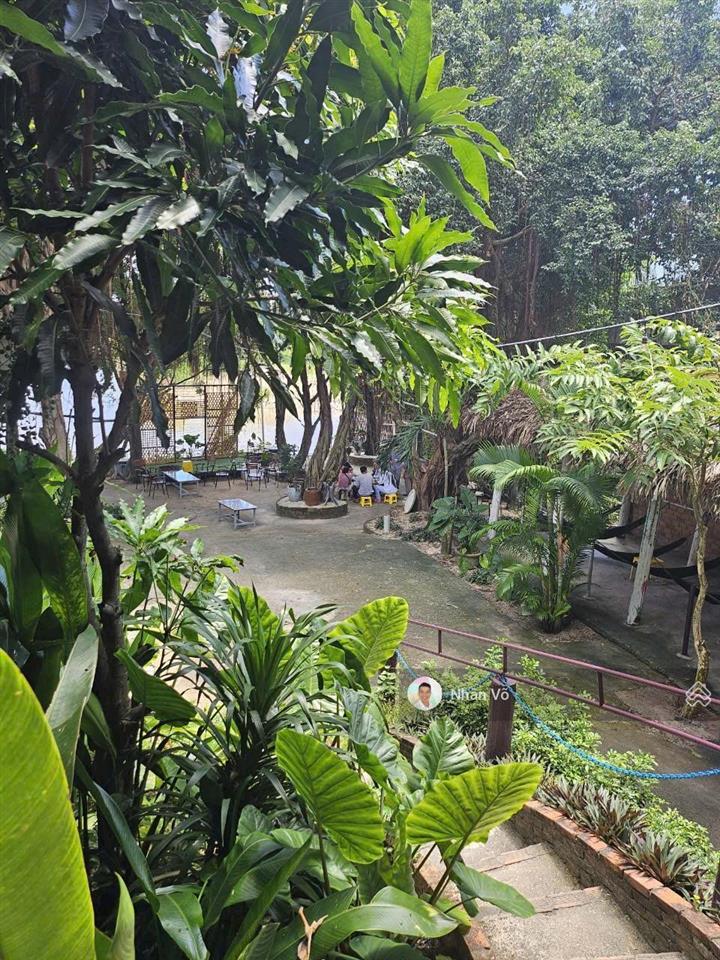 Chỉ 8.8 tỷ sở hữu mini resort ven sông tại tx lagi, 1200m2. mt đường 20m, ngang 29m. có 8 bungalows