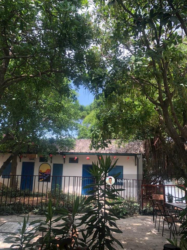 Chỉ 8.8 tỷ sở hữu mini resort ven sông tại tx lagi, 1200m2. mt đường 20m, ngang 29m. có 8 bungalows