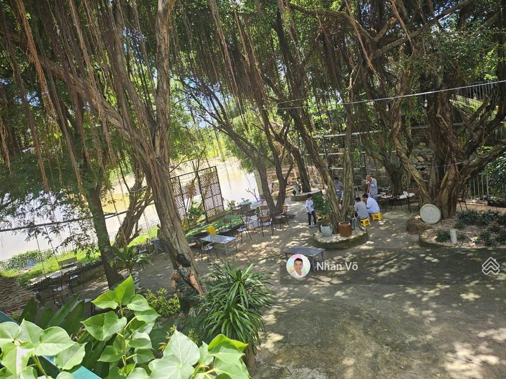 Chỉ 8.8 tỷ sở hữu mini resort ven sông tại tx lagi, 1200m2. mt đường 20m, ngang 29m. có 8 bungalows