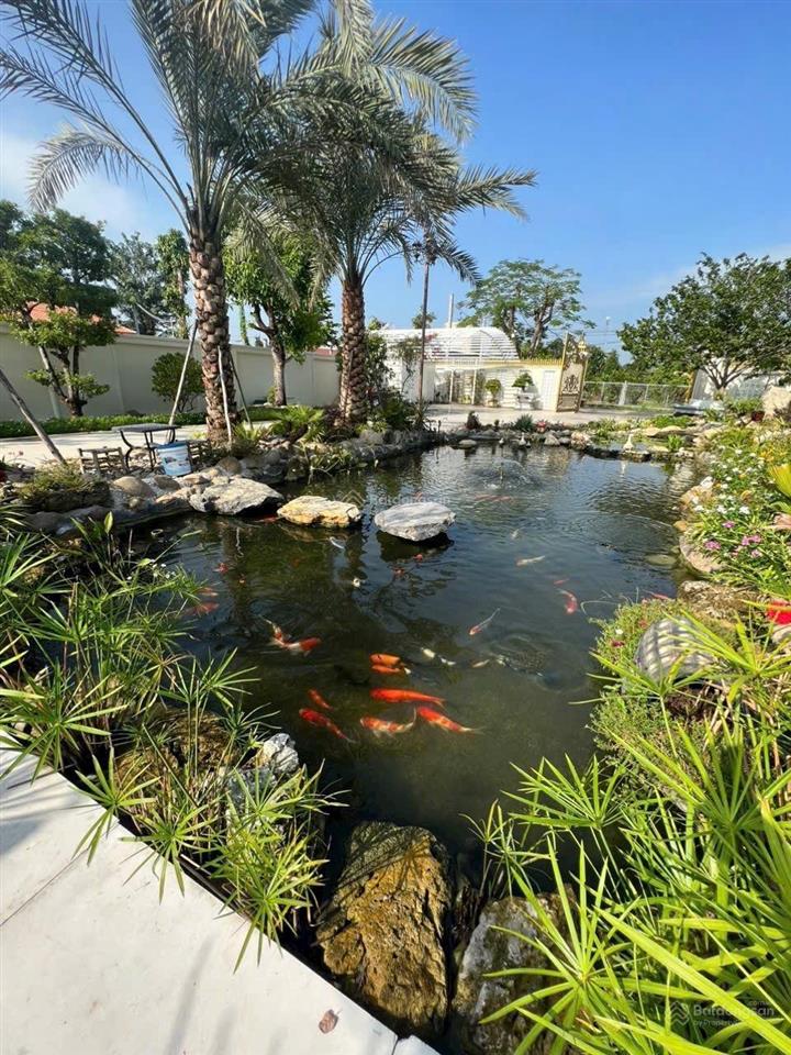 Chủ ngộp bán biệt thự sân vườn 1.040m2 tương bình hiệp, thủ dầu một giá chỉ 13,9 tỷ