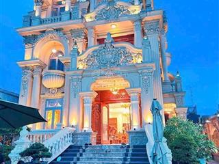 Biệt thự lâu đài vip 744,9m²  mặt tiền dĩ an