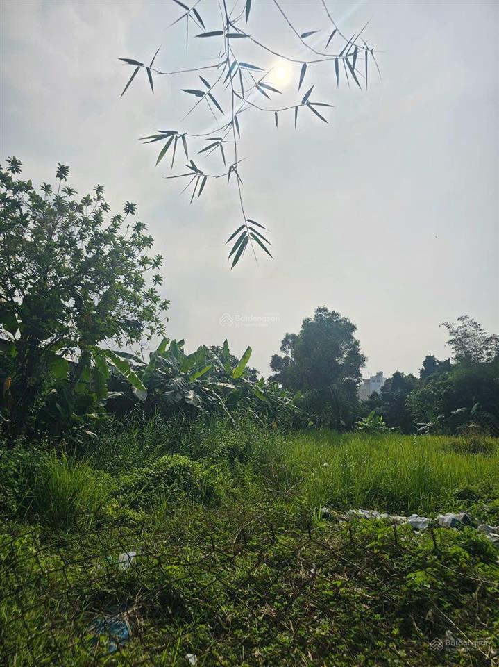 Tôi bán đất trung tâm lái thiêu gần chợ | 353m2 đường quy hoạch 14m