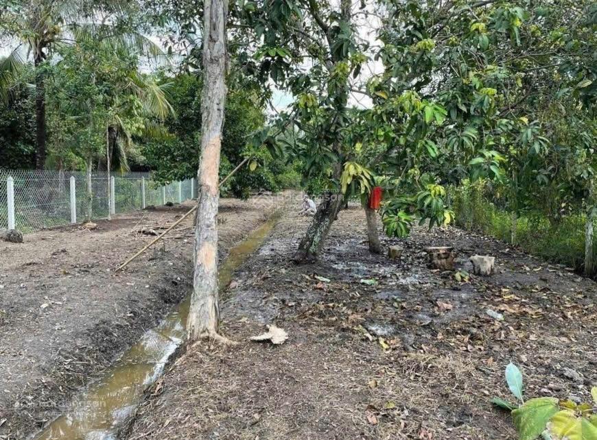 Vị trí hiếm đất mặt tiền an sơn 01  724m² gần cảng