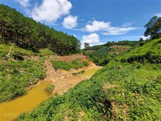 Cần tiền gấp bán đất vườn giá siêu rẻ đầu tư tại xã nam hà