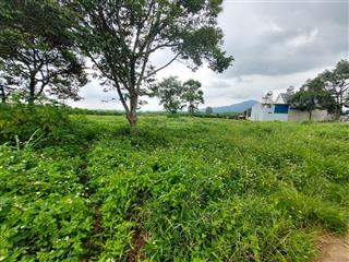 Cần bán gấp lô đất xây dựng gần sân bay liên khương