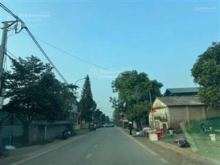 Chính chủ bán đất tại đồng vàng, phú mãn, quốc oai, hn. diện tích 219.2m2, sổ đỏ chính chủ.