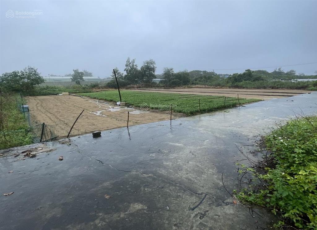 Chính chủ bán lô đất giáp khu công nghiệp an lưu, điện bàn. giá thương lượng