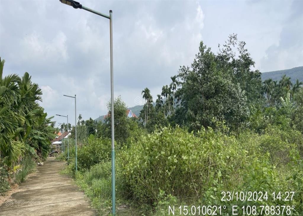 Chính chủ đất xã hành đức, nghĩa hành. giá ra hàng nhanh