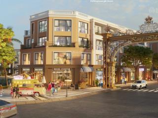 Bán căn liền kề shophouse hướng nam duy nhất tại phân khu đảo vua, vinhomes royal island