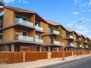 Sống giữa ốc đảo thịnh vượng  bán căn biệt thự song lập siêu vip tại vinhomes royal island