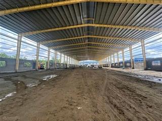 Cần bán đất mt ql1a dt 16400m2, giá 83 tỷ