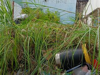 Bán nền 60,6m2 giá 2,1 tỷ (ngang 3,6m, dài 13m, nở hậu 6,6m), hẻm xe hơi, nguyễn văn tạo, nhà bè