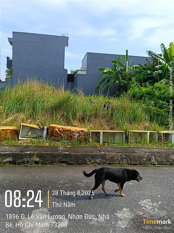 Bán đất 1896 lê văn lương giá rẻ, giá từ 2,9 tỷ, dt 97m2, hẻm xe hơi 6m, gần trường quốc tế mỹ, shr