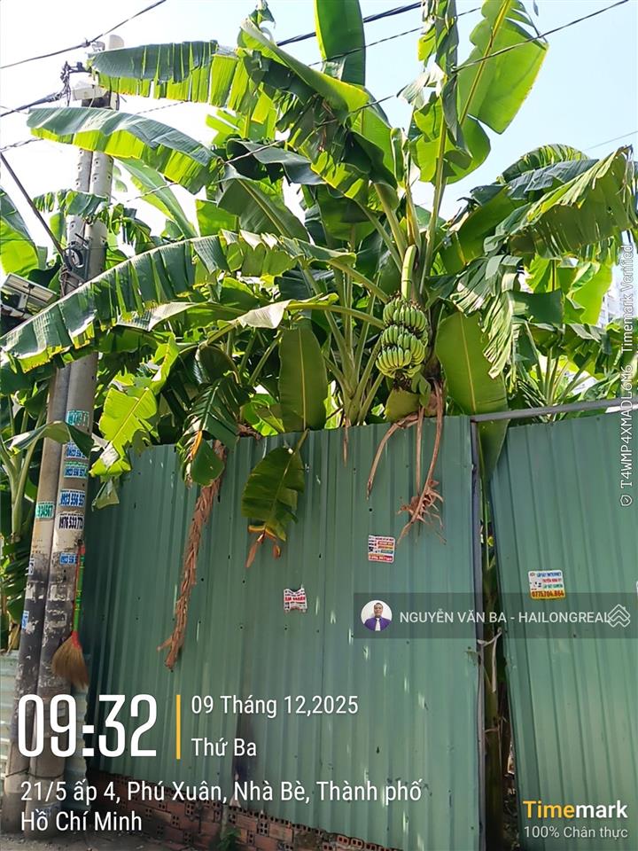 Aba hailongreal bán đất 2581 huỳnh tấn phát 5*16,7m, giá 4,6 tỷ, 2 mặt hẻm xe hơi, sát kdc anh tuấn