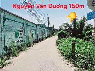 Chính chủ bán đất cách đường nhựa nguyễn văn dương chỉ 150m. đất đẹp, đường xe hơi