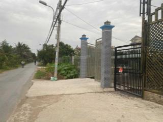 Mặt tiền đường nhựa t12, diện tích 1000m 20x50m, sổ riêng chính chủ, giá rẻ tân quí tây