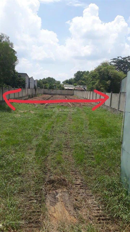 Bán lô đất mt đường nhựa, gần ubnd xã đức lập hạ, long an, dt đất 1316m2, full thổ, giá 9,5 tỷ