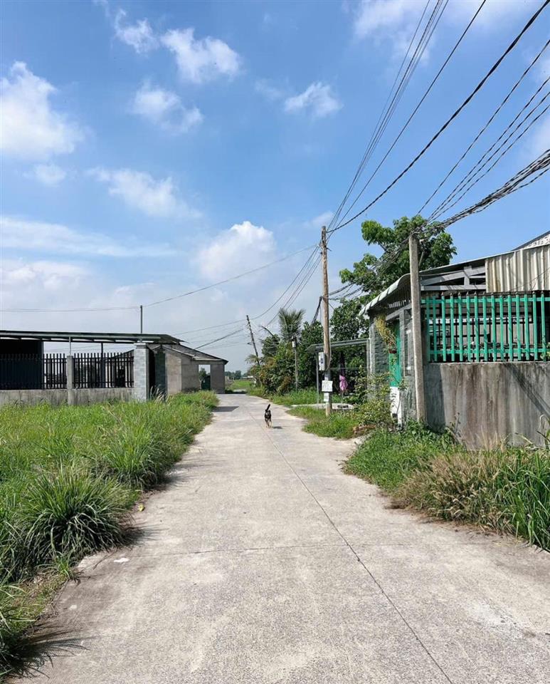 Bán đất mỹ hạnh bắc, đức hòa, tỉnh lộ 9 vào 200m dt 171m2 sổ hồng riêng.  0918 551 ***