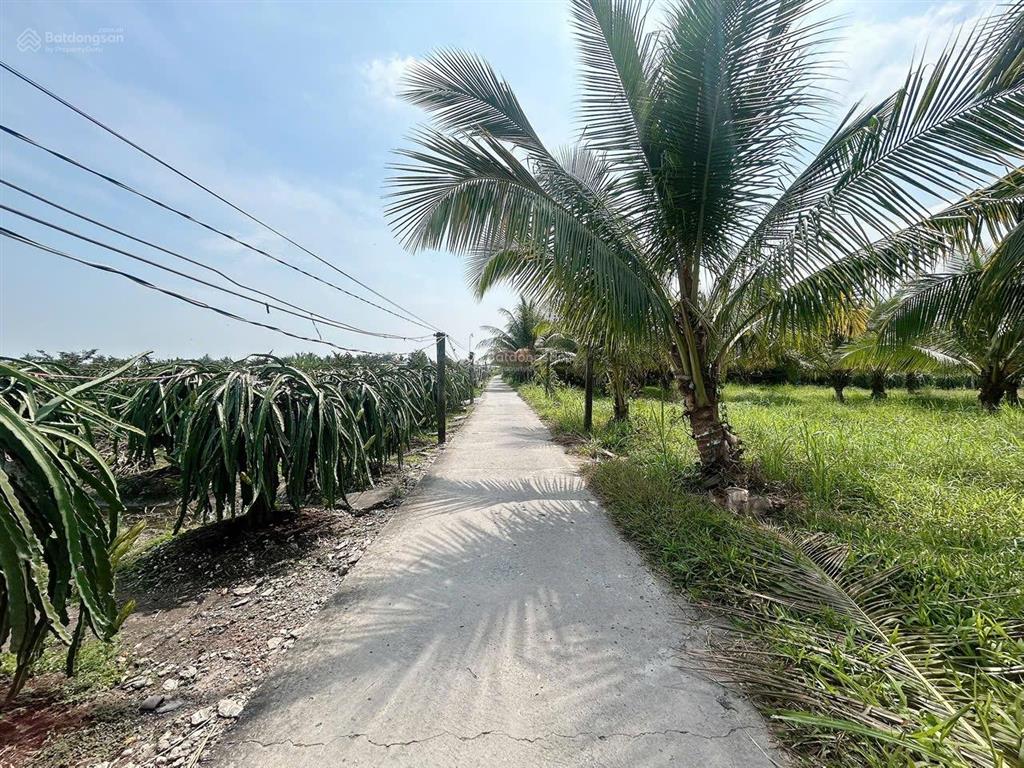 Bán 2 lô đất thổ f0 ở mặt tiền đường bờ sen, ấp bình trị 2, phú ngãi trị, diện tích 5 x 24m