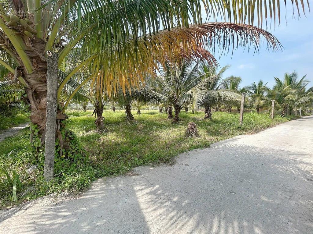 Bán 2 lô đất thổ f0 ở mặt tiền đường bờ sen, ấp bình trị 2, phú ngãi trị, diện tích 5 x 24m
