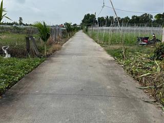 Bán 690m2 đất lúa cách 827b 70m phú ngãi trị, châu thành, dt 10x44m nở hậu 22.5m (cho chuyển thổ)