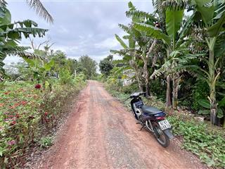 Bán 3 lô đất thổ đường bờ đê 10m, view sông vàm cỏ thuộc bình quới , châu thành  dt  5.5 x 32m2 .