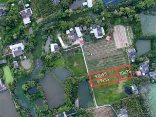 Bán 500m2 đất vườn đường 3 gác thuộc lợi bình nhơn, tp tân an, diện tích 9.7 x 55m, nở hậu 10.1m
